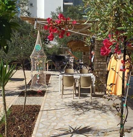 Guest House Solive هيماري المظهر الخارجي الصورة