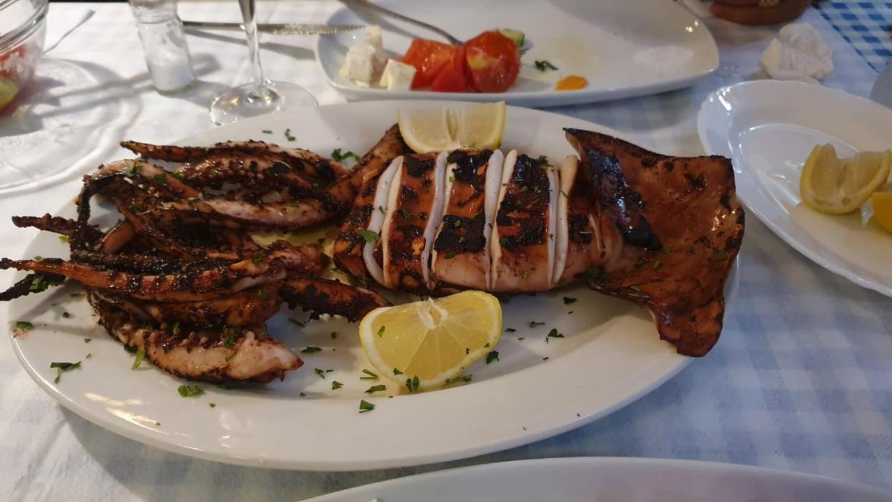 Guest House Solive هيماري المظهر الخارجي الصورة